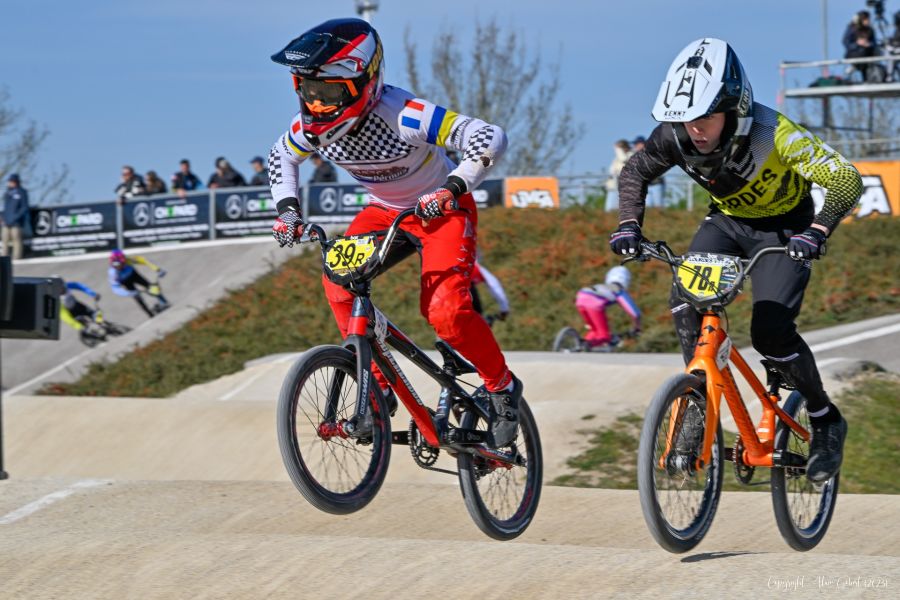 alain gobert  ani3585