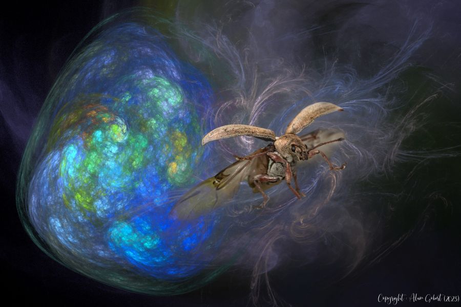 glysofractal alain gobert