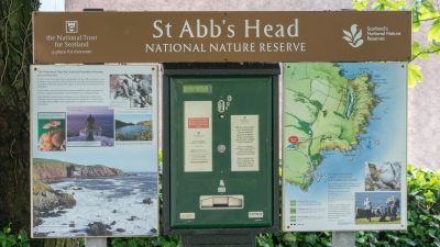 La réserve nationale de St Abb's Head
