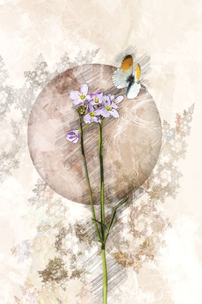 180331 ag dsc modifier