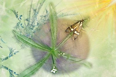 Le milieu de mon entourage