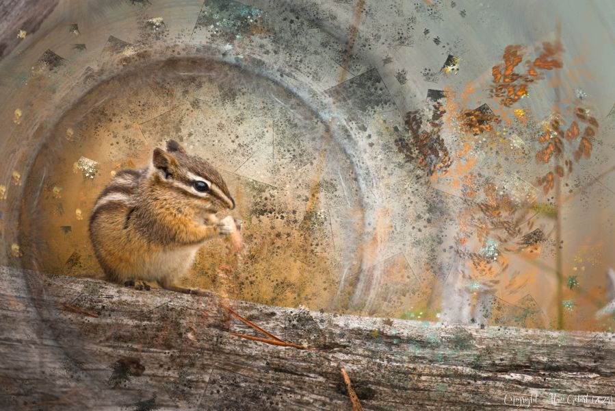 le tamia alain gobert