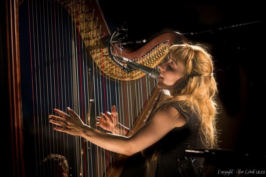  dsc6939 avec accentuation bruit