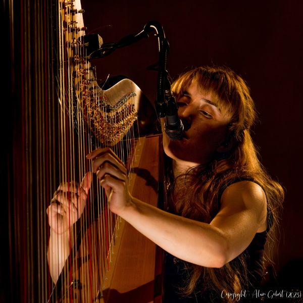  dsc7268 avec accentuation bruit