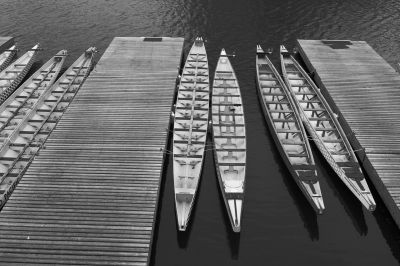 Paysages monochromes