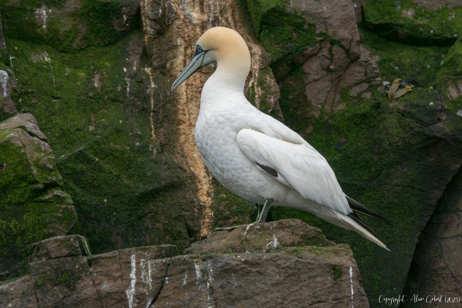dsc00987 avec accentuation bruit